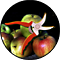 fruitbomen vormen